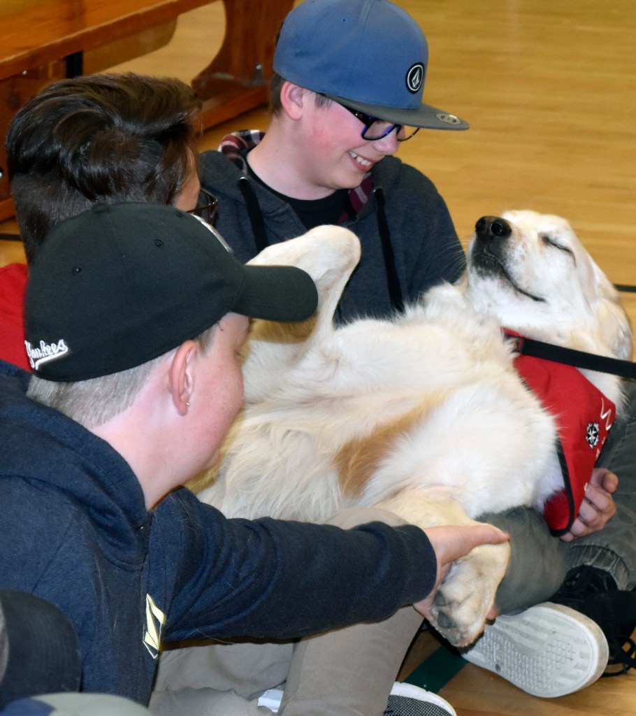 woof-and-boys