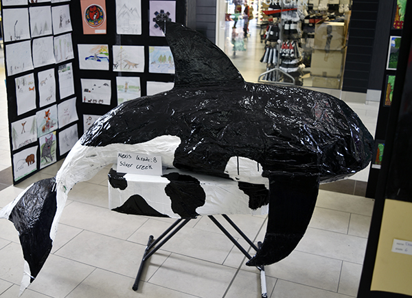 orca