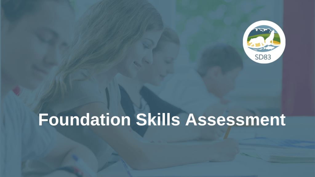 Foundation-Skills-Assessment
