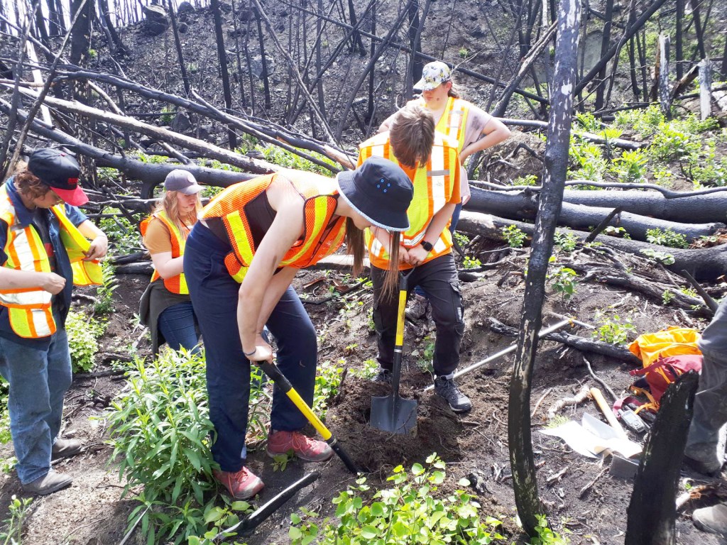 digging-hole