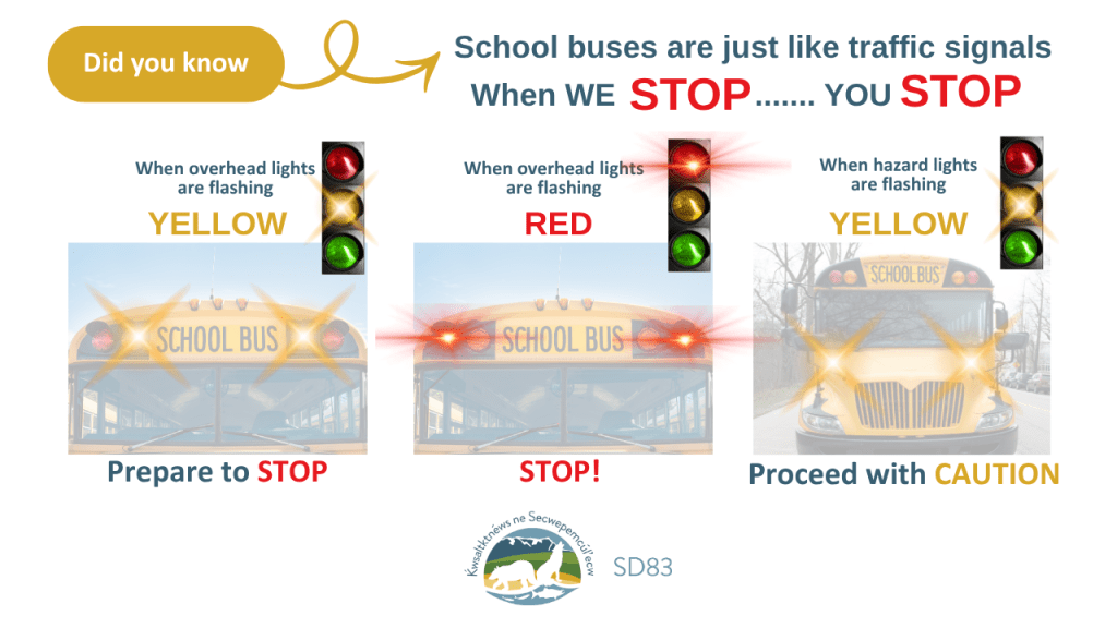 bus-safety