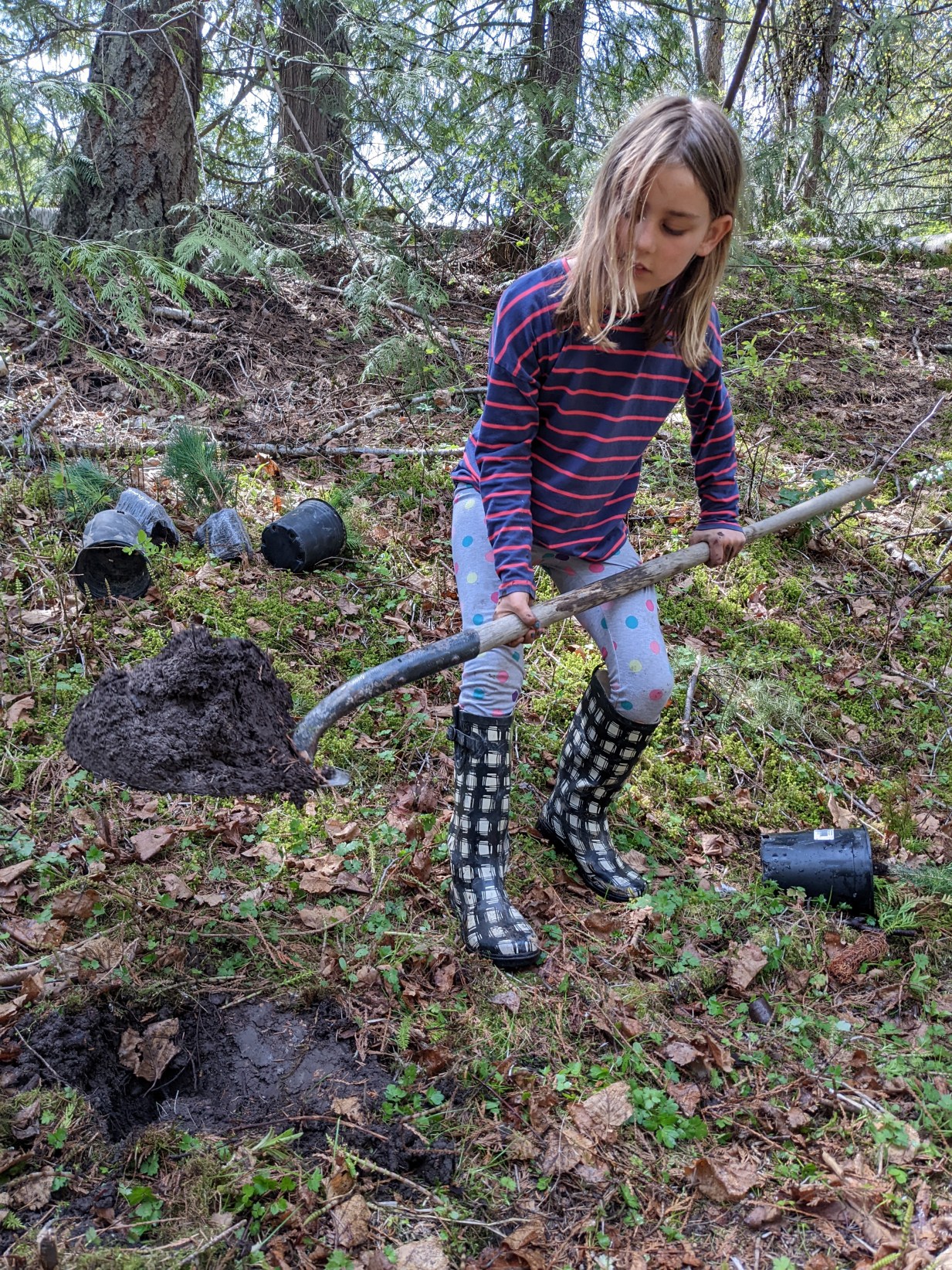 SCa-digging-hole