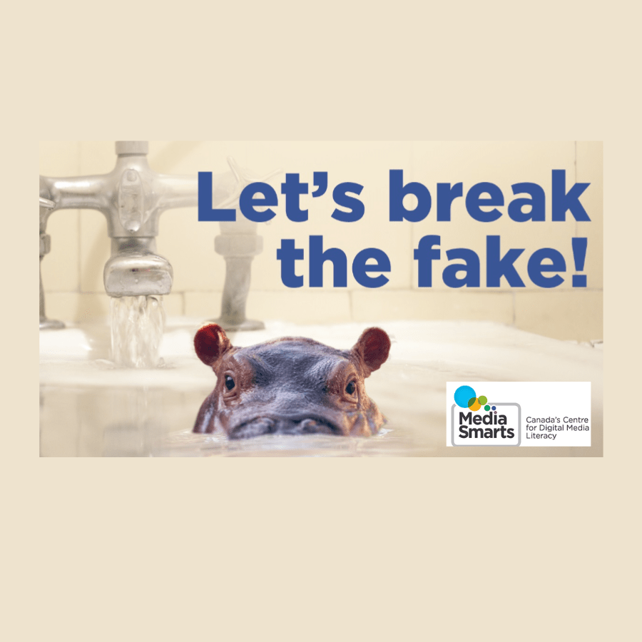 Break-the-Fake