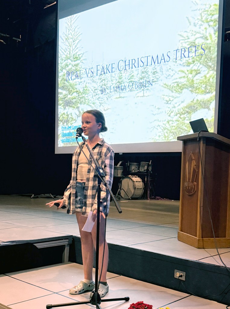 xmas-tree-Talk