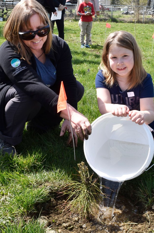 SAW-treeplanting8
