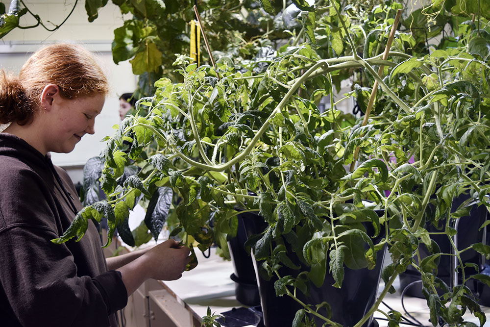 girl-and-plant
