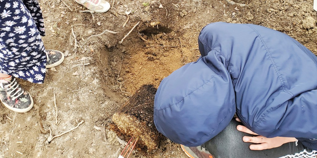 boy-planting-Sor