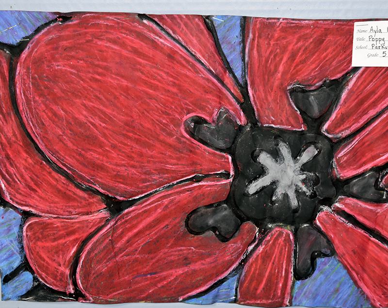poppy