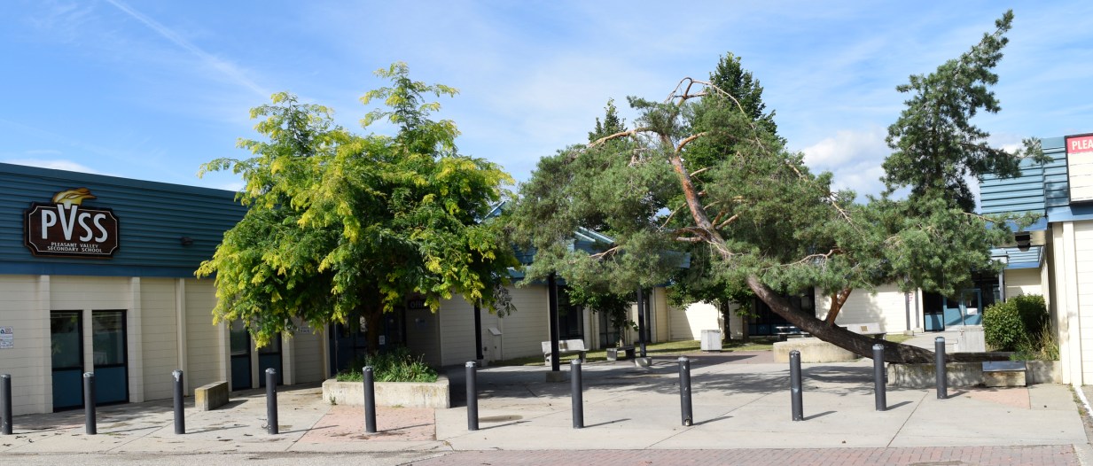 pvss-front