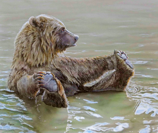 bathing-bear-rogers-1