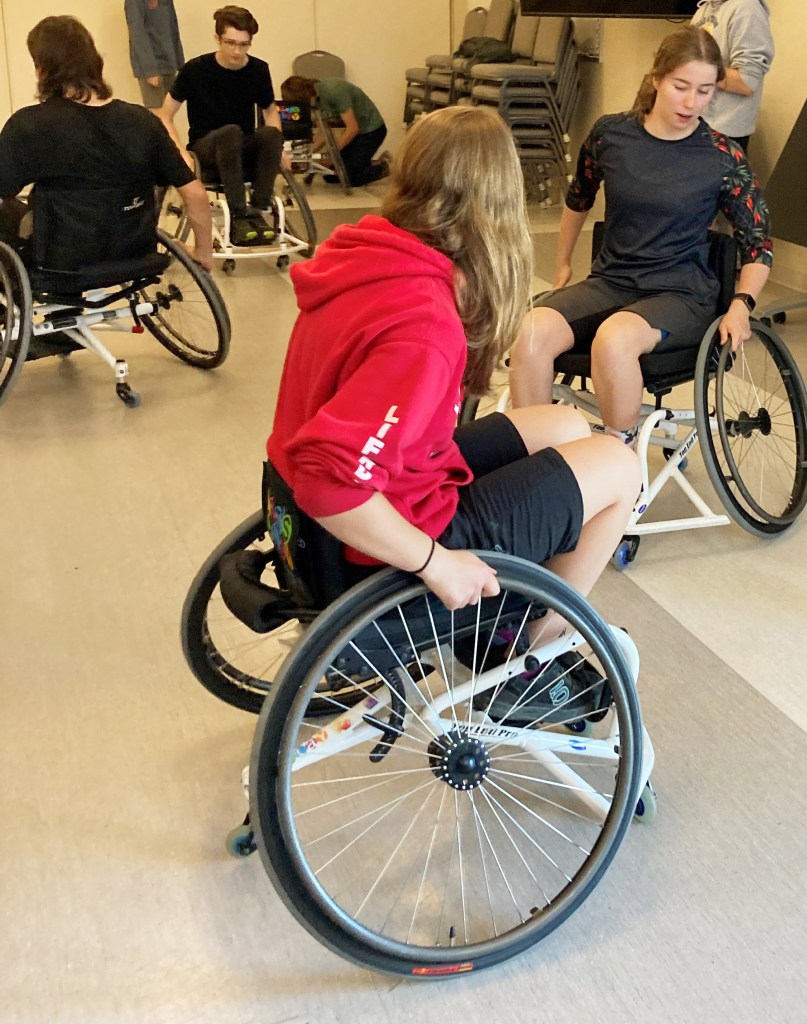 wheelchair-tag2