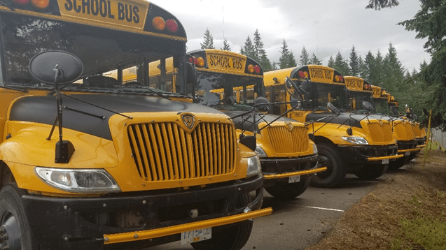 row-of-buses