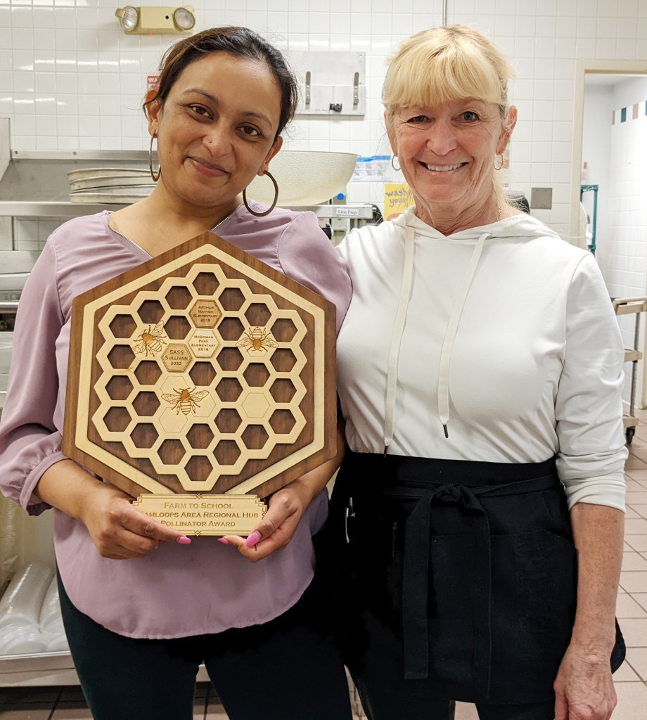 Nimmi-award