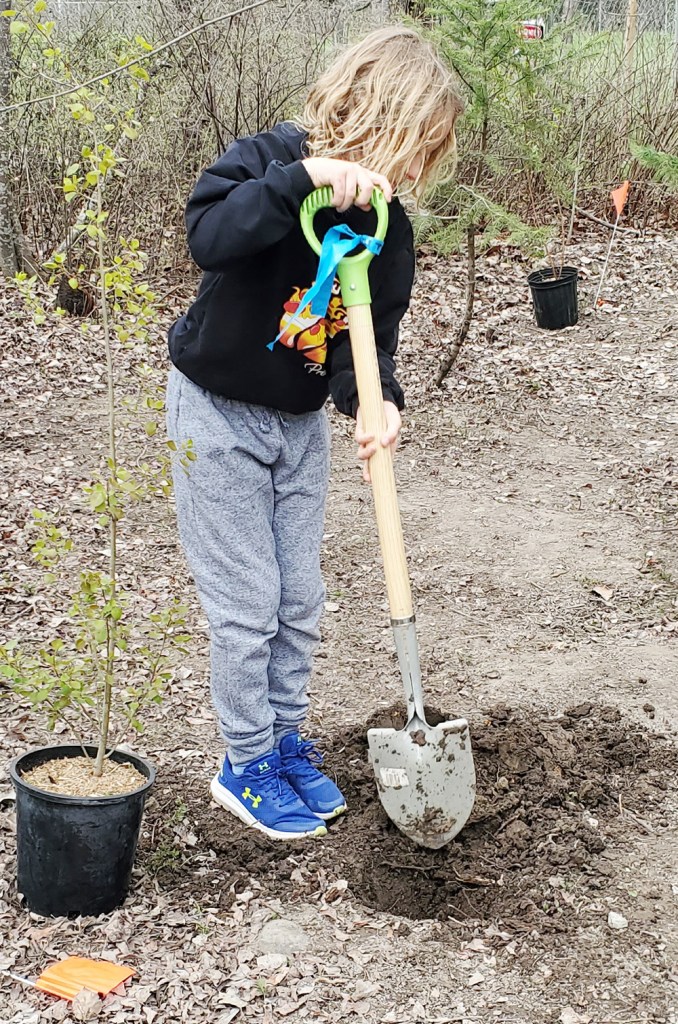 girl-planting-tree-Sorrento