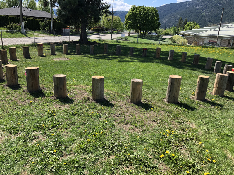 smaller-close-up-of-stumps