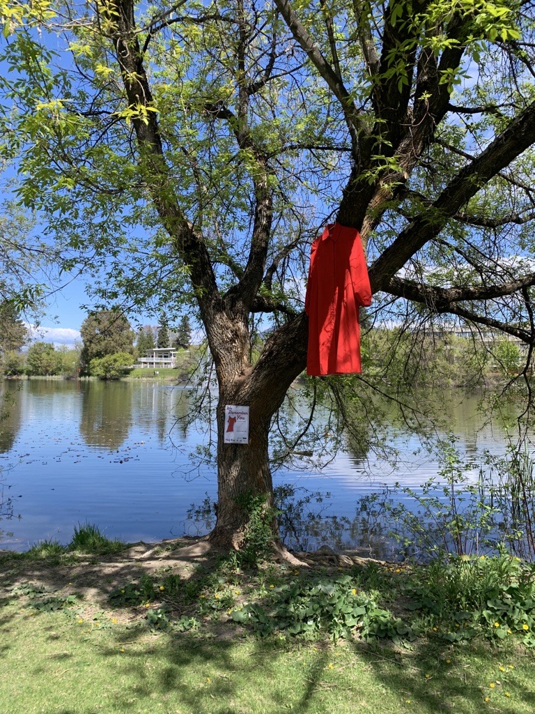 Dress-folded-in-Tree-2