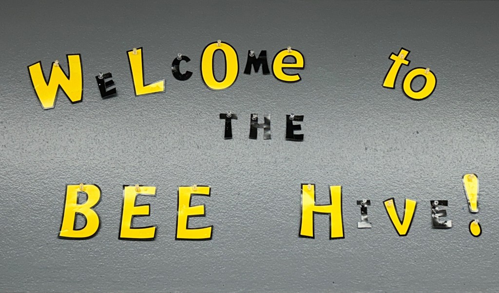 Bee-Hive