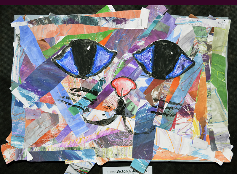 cat-eyes