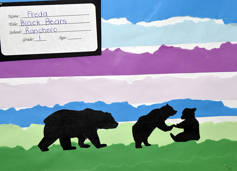 bears
