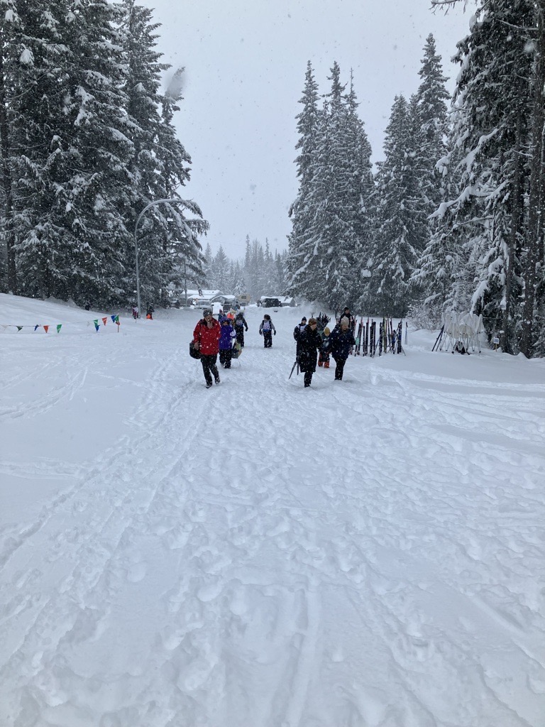 Image-1